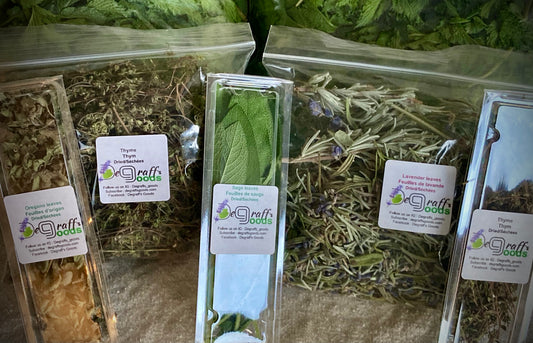 Herb - Fresh/Dried (3 Small boxes) Chamomile